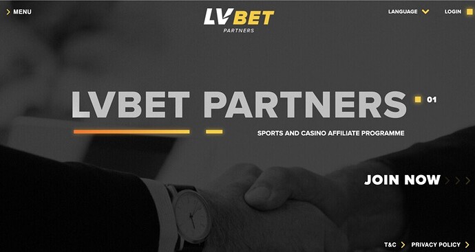 lvbet-partners-website